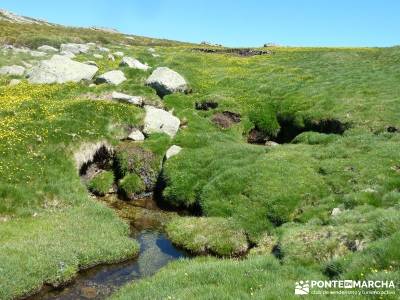 La Mira - Los Galayos (Gredos);montañismo madrid senderismo guadarrama ruta por la pedriza